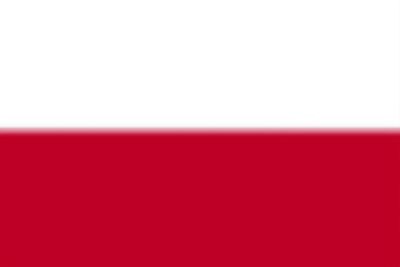 Polen Schleifringmotor